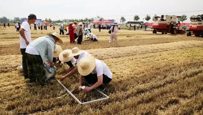 全市三夏生产暨农业农村重点工作部署会议在郯城召开