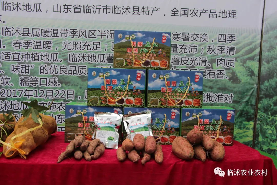 “中国农业生产托管万里行-走进山东省”大型全媒体直播活动启动仪式在临沭县举行