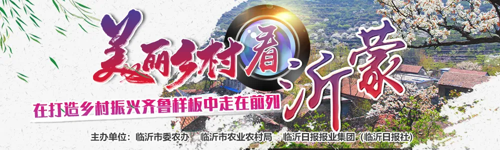 乡村振兴典型案例 | 紧盯市场调结构 立足资源谋振兴 费县打造长三角中心城市农产品供应基地